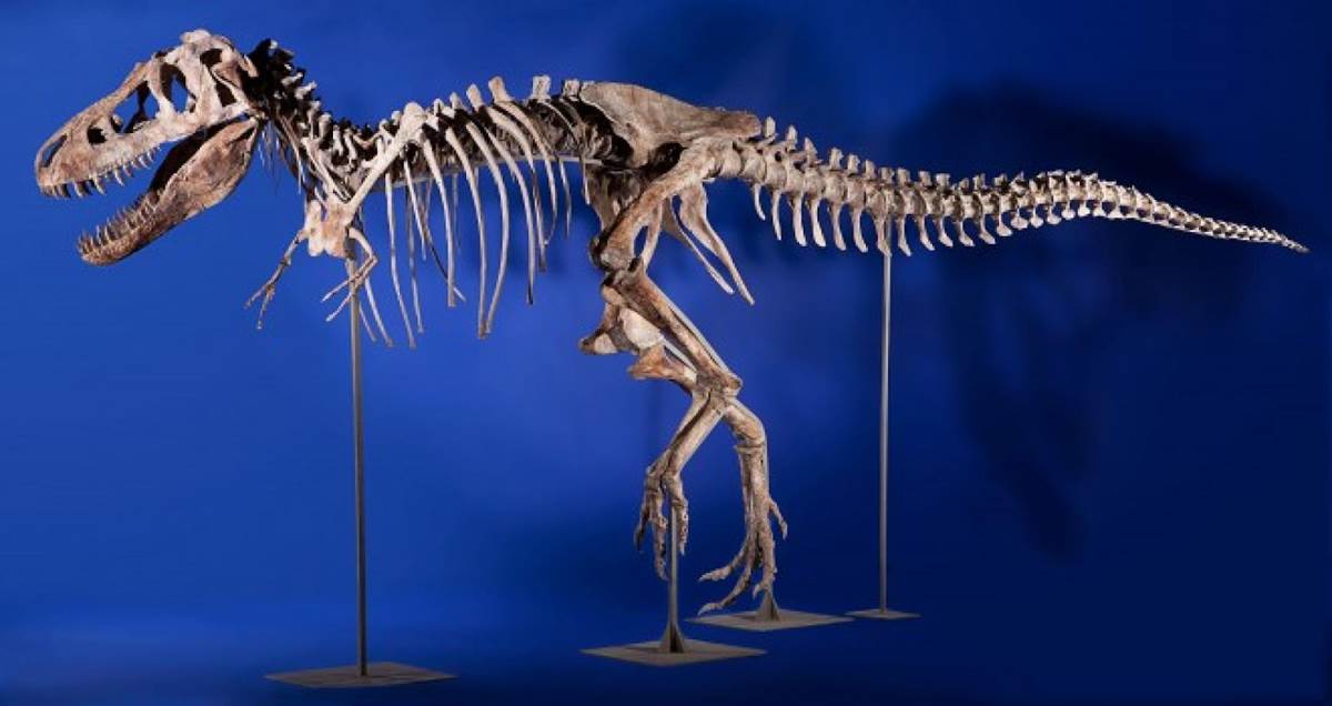 Photo Source: National Geographic/Heritage Auctions